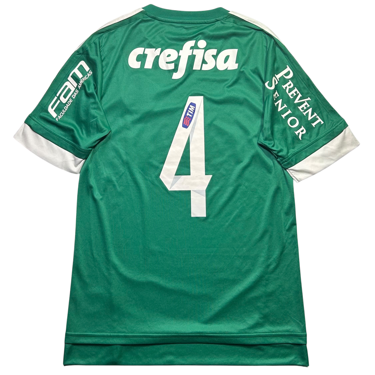 Palmeiras 2015 P
