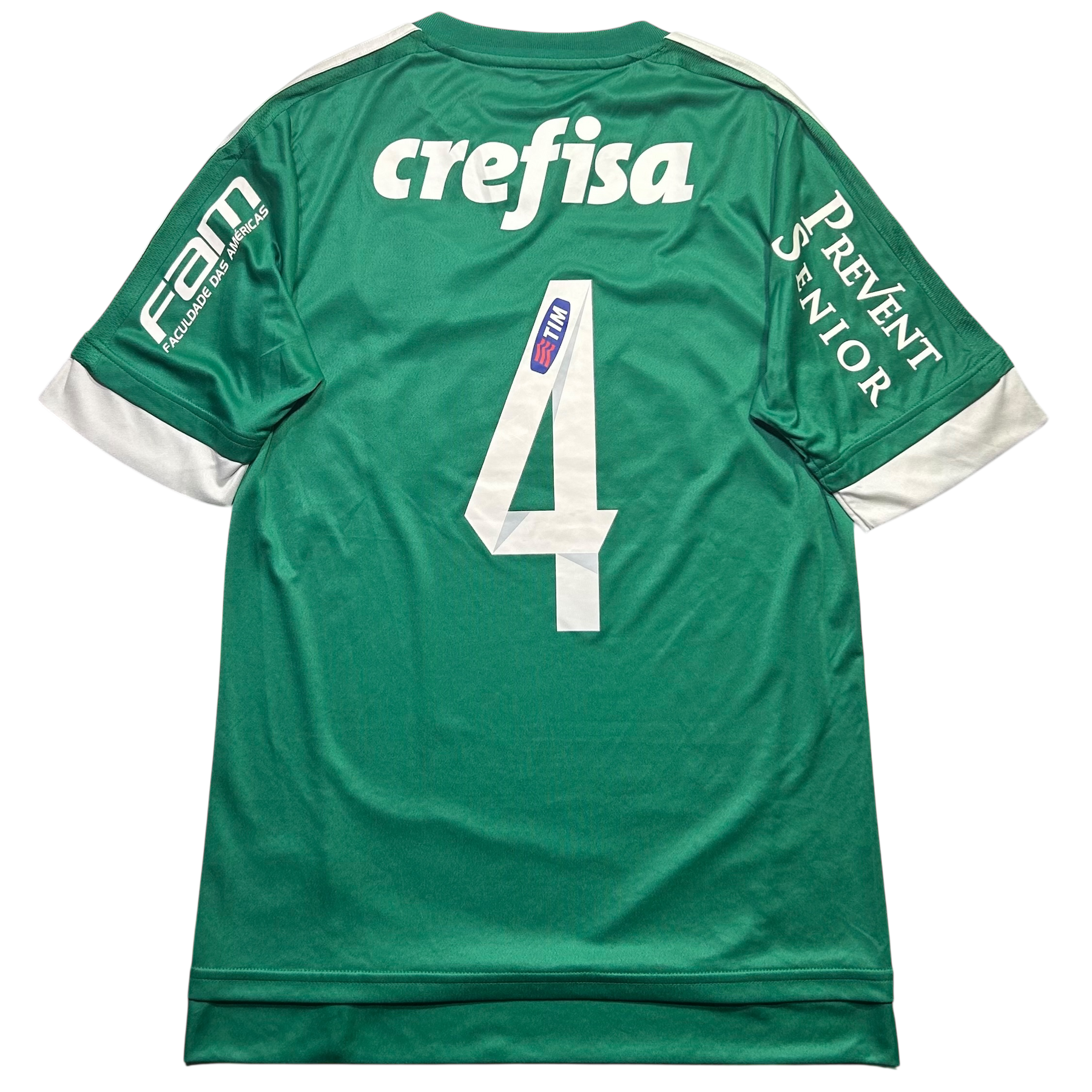 Palmeiras 2015 P