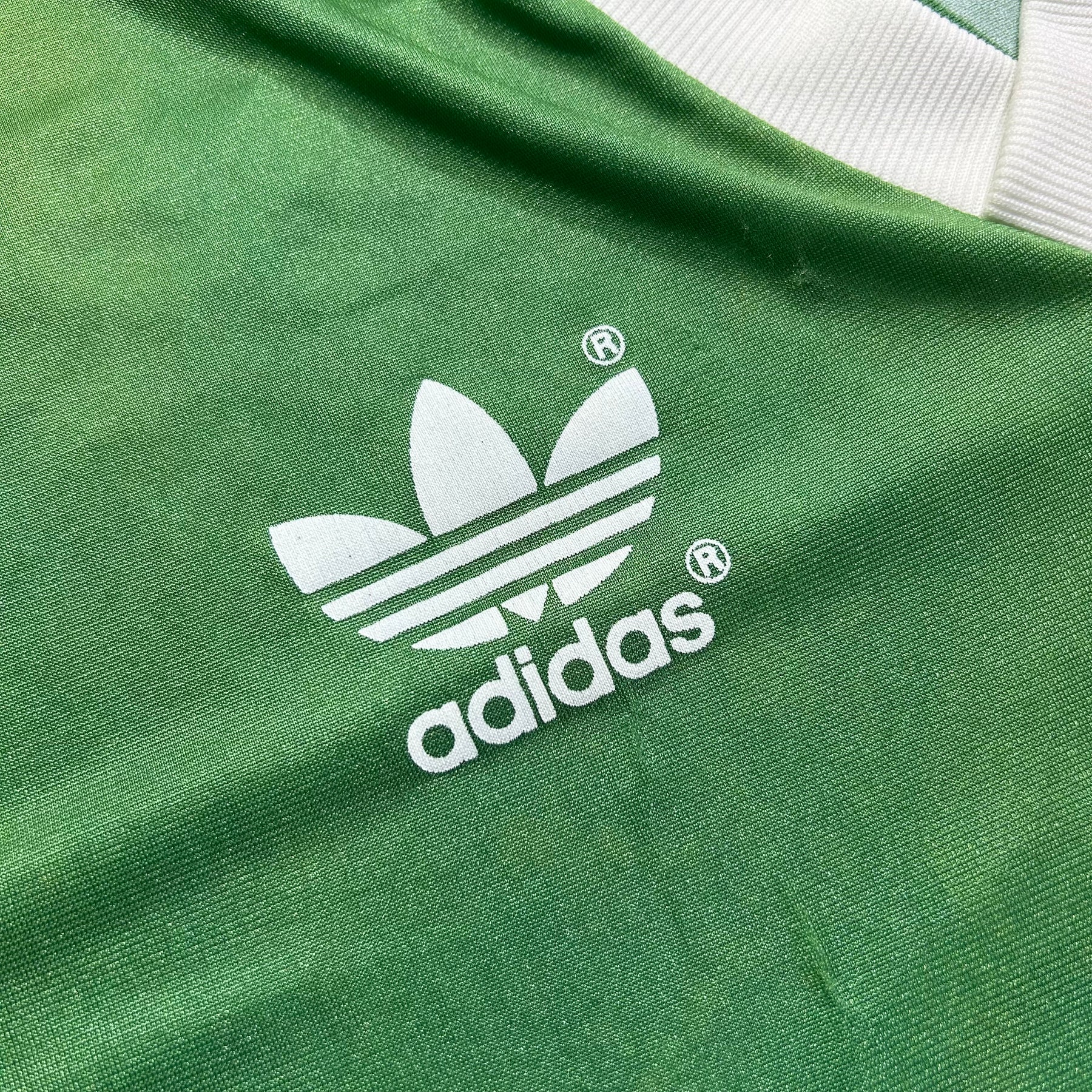 Palmeiras 1989 M
