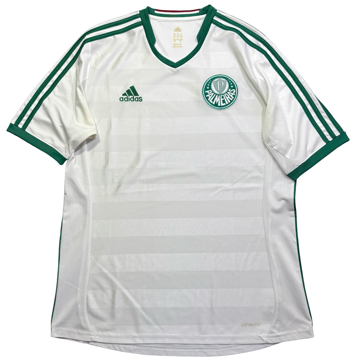 Palmeiras 2013 G