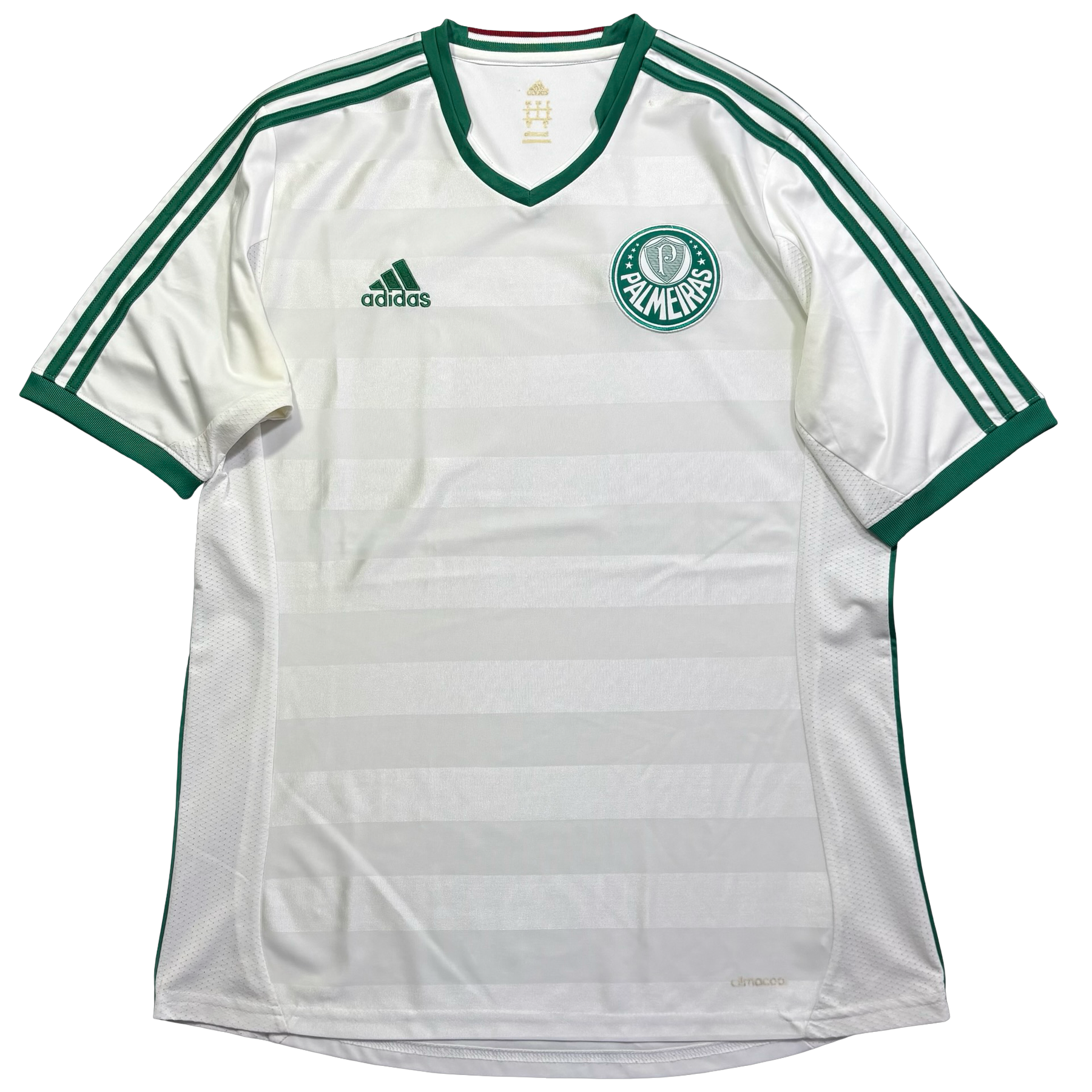 Palmeiras 2013 G