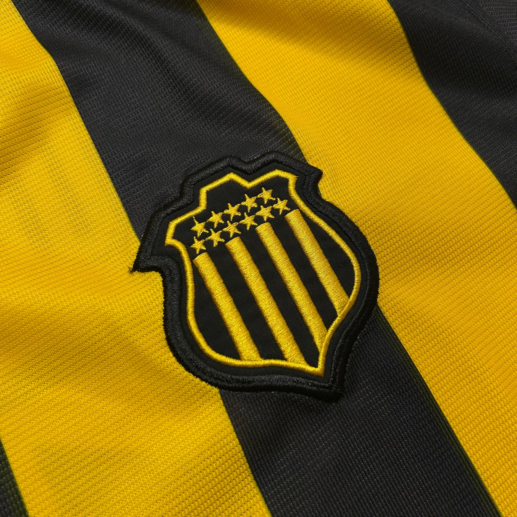 Penarol 2002 GG