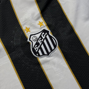 Santos 2011 P