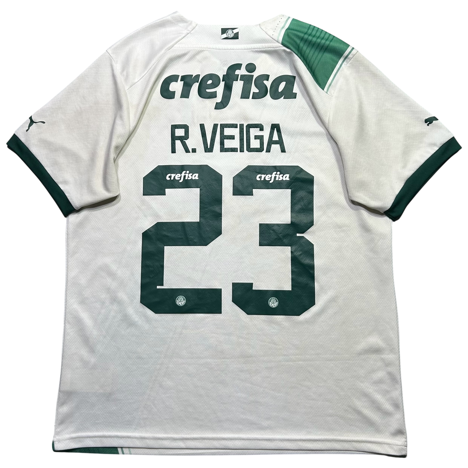 Palmeiras 2023 G
