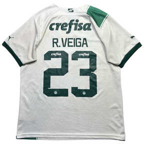 Palmeiras 2023 G
