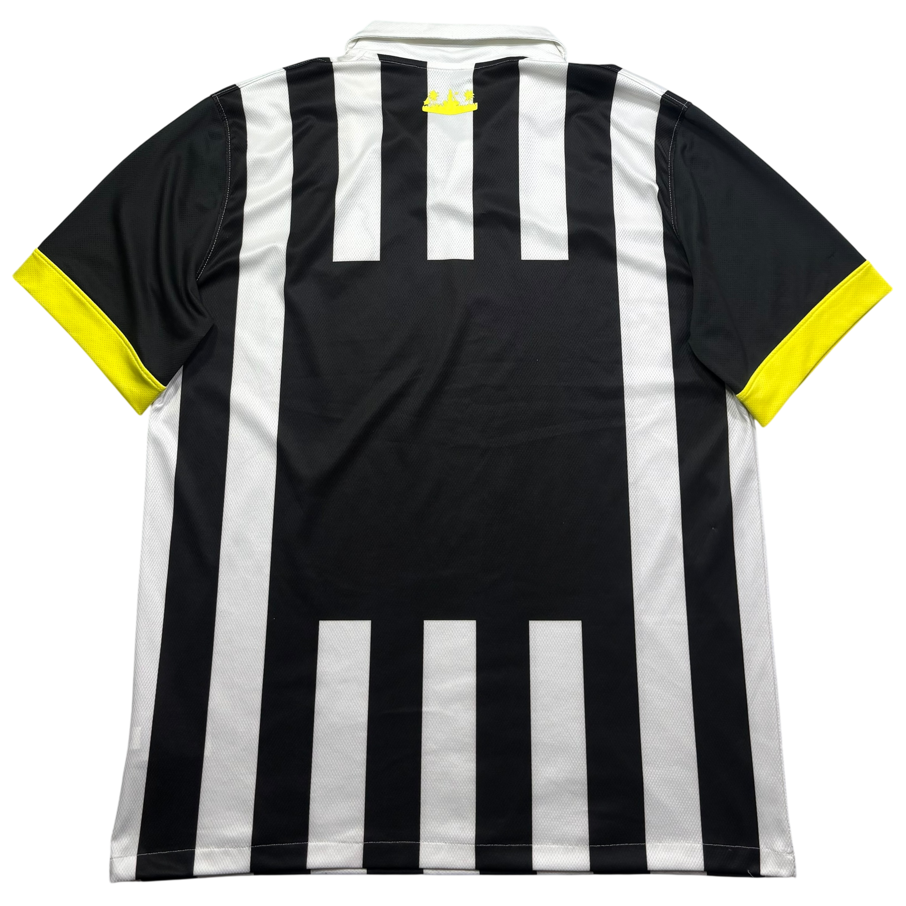 Santos 2013 GG