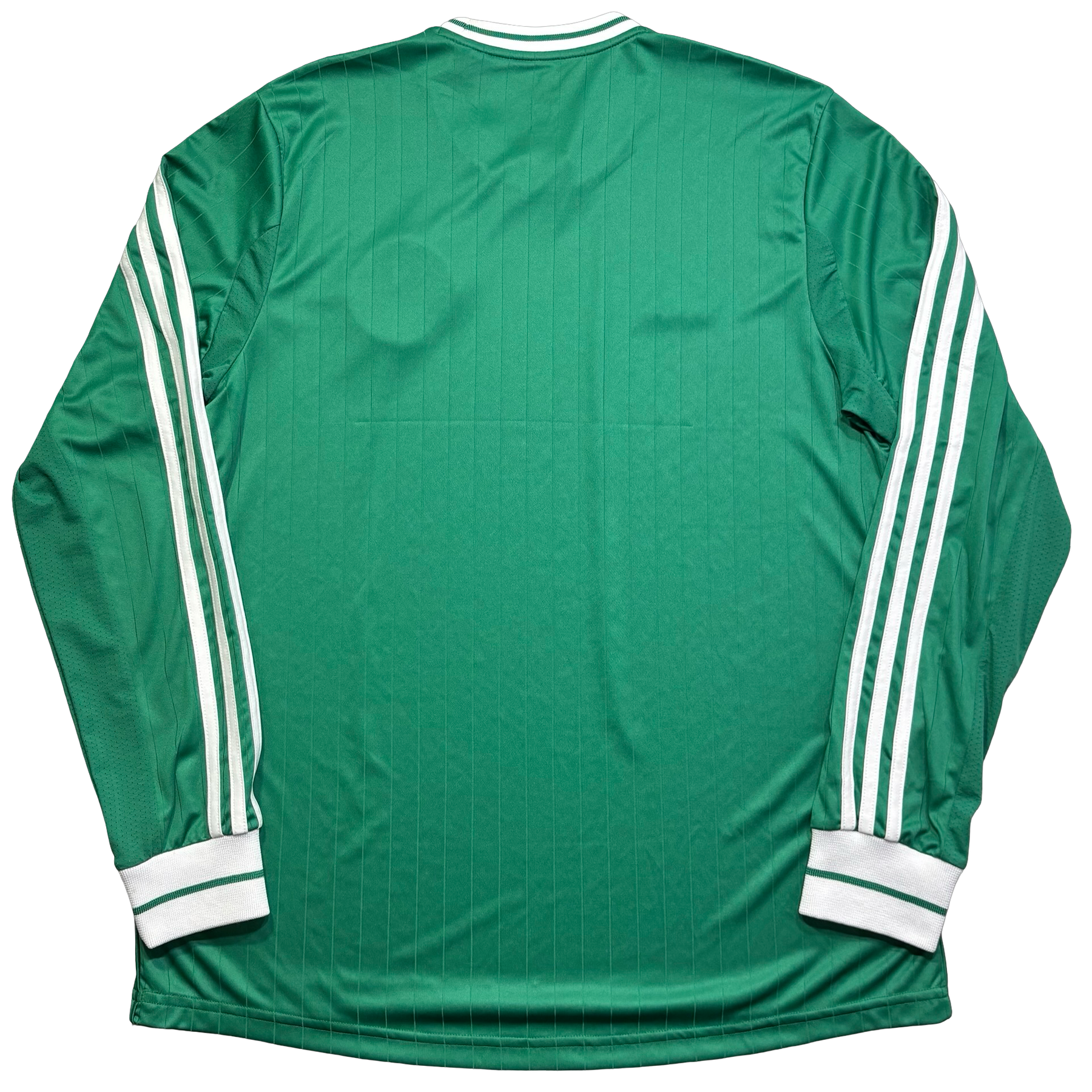 Palmeiras 2013 G