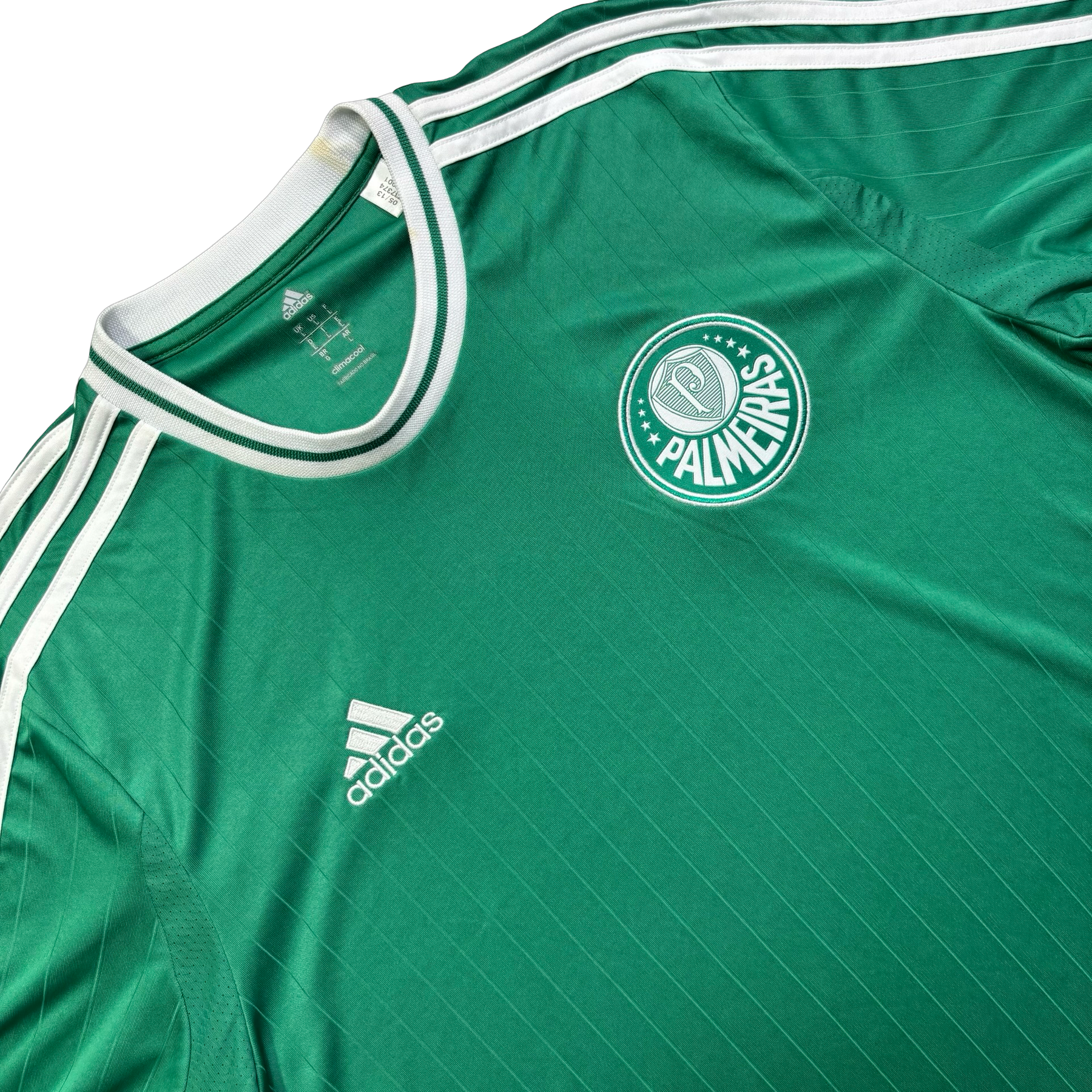 Palmeiras 2013 G