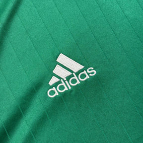 Palmeiras 2013 G
