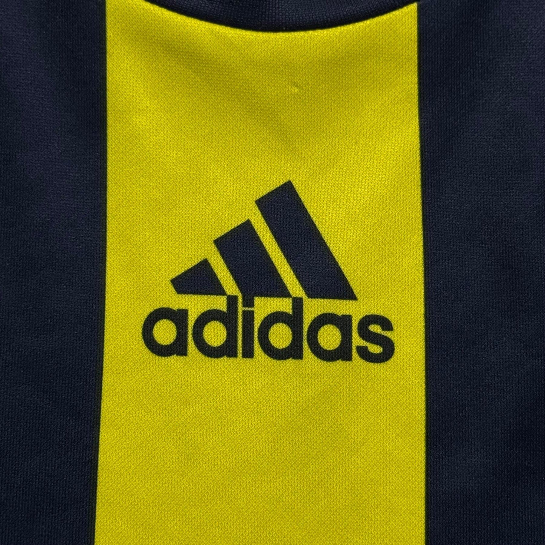 Fenerbahçe 2010 M
