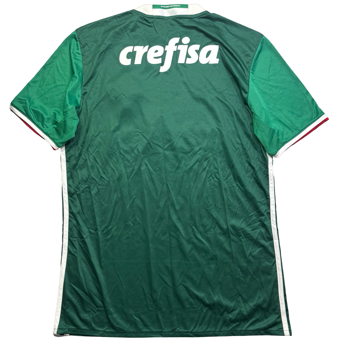 Palmeiras 2016 M