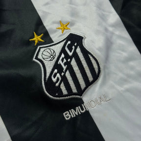 Santos 2001 GG