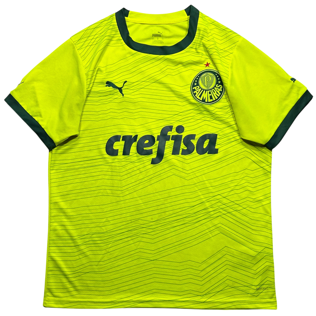 Palmeiras 2023 G