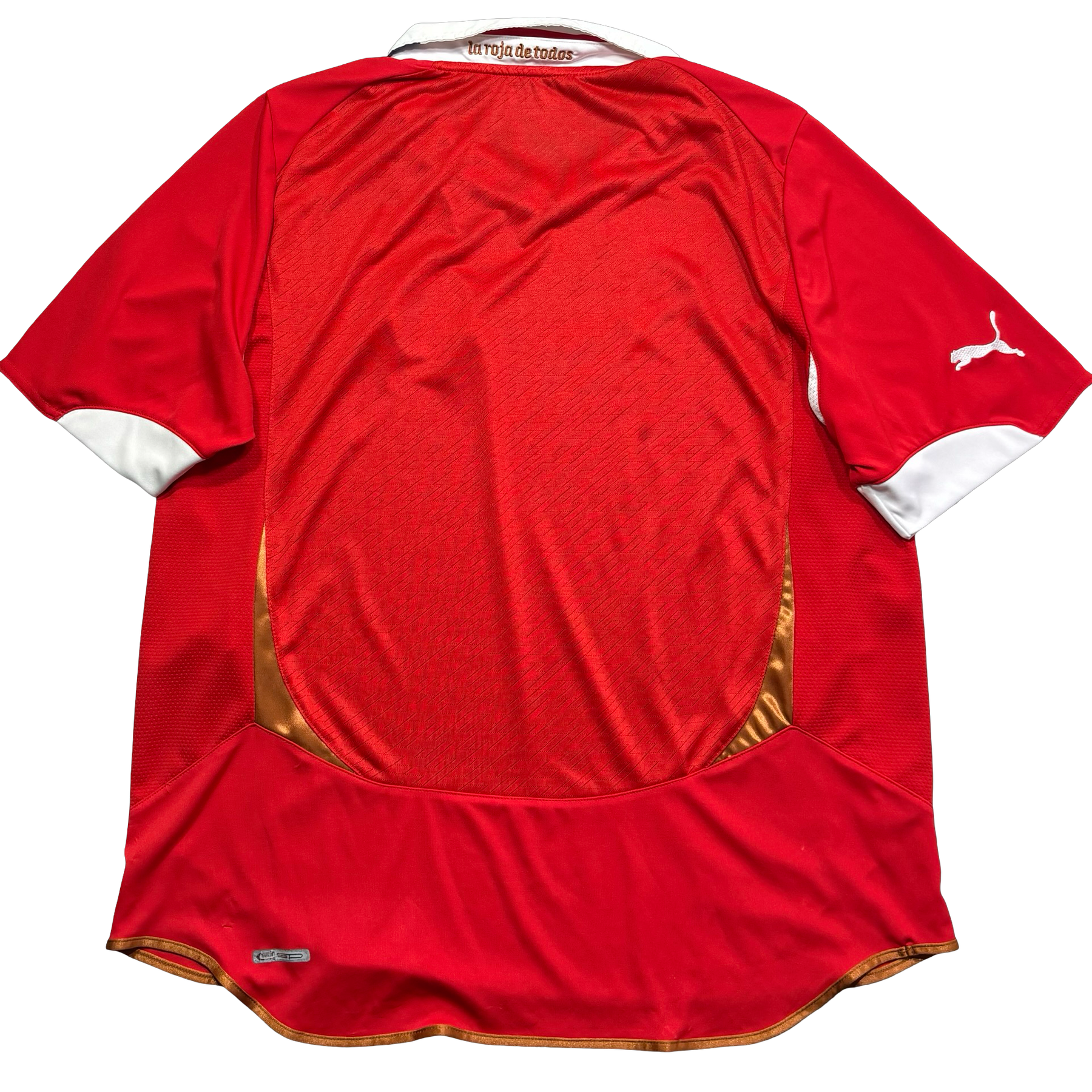 Chile 2010 GG