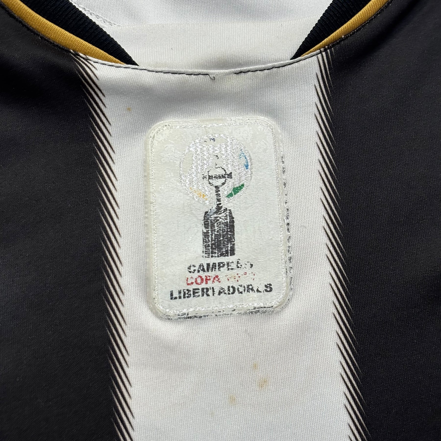 Atlético Mineiro 2013 P