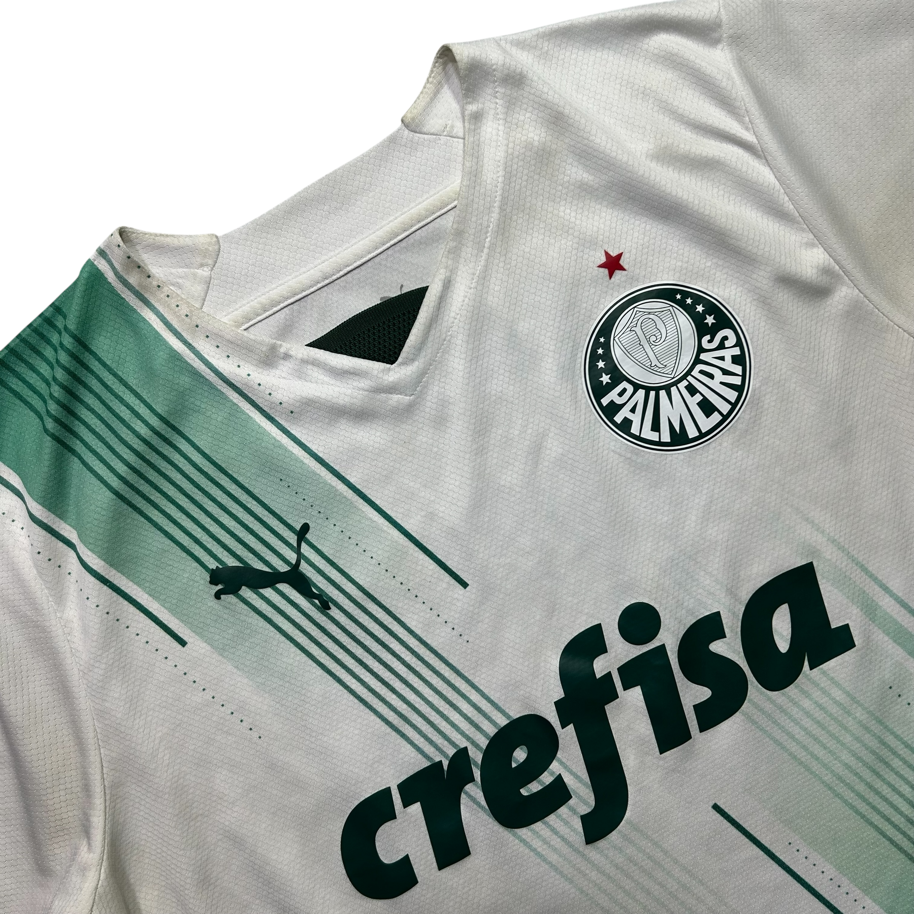 Palmeiras 2023 G