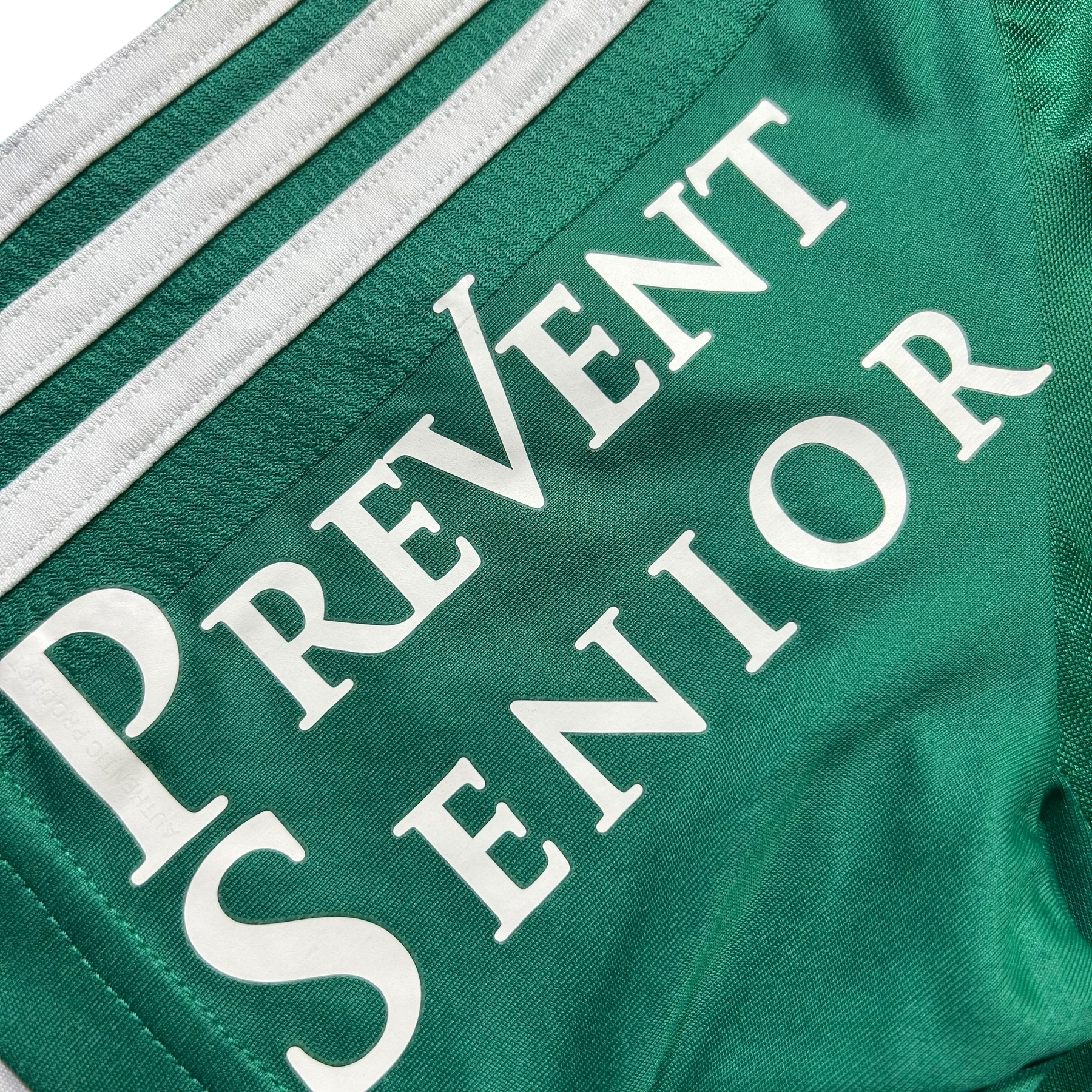 Palmeiras 2015 P