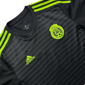 México 2014 M