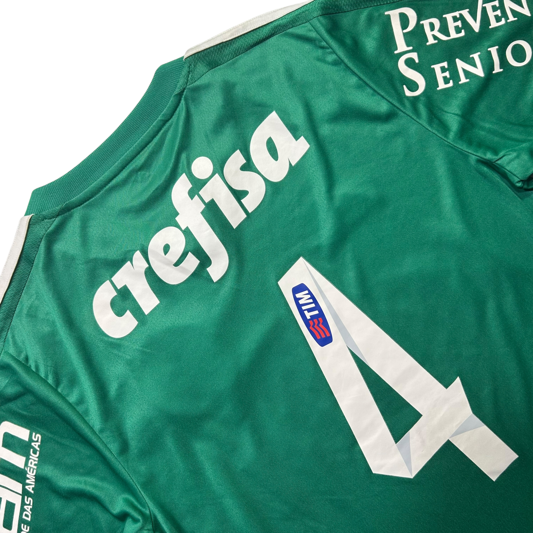 Palmeiras 2015 P