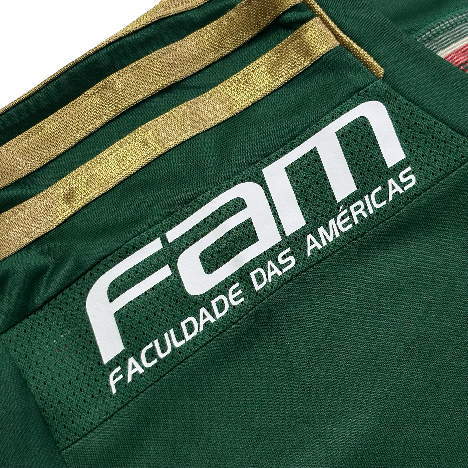 Palmeiras 2014 GG