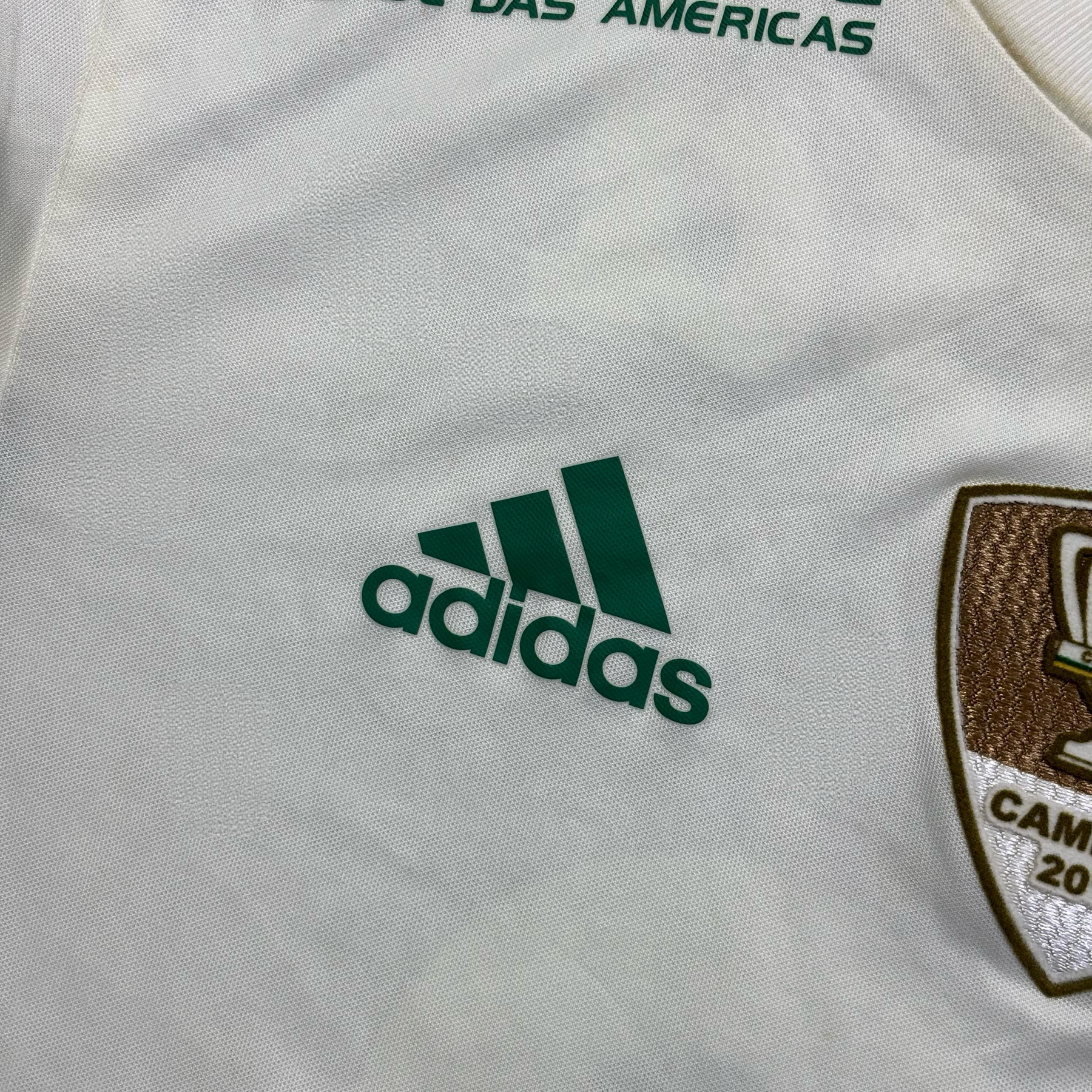 Palmeiras 2016 M