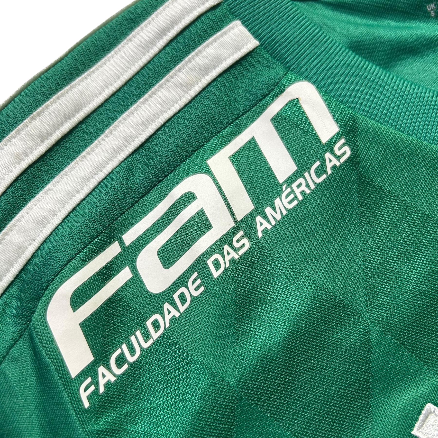 Palmeiras 2015 P