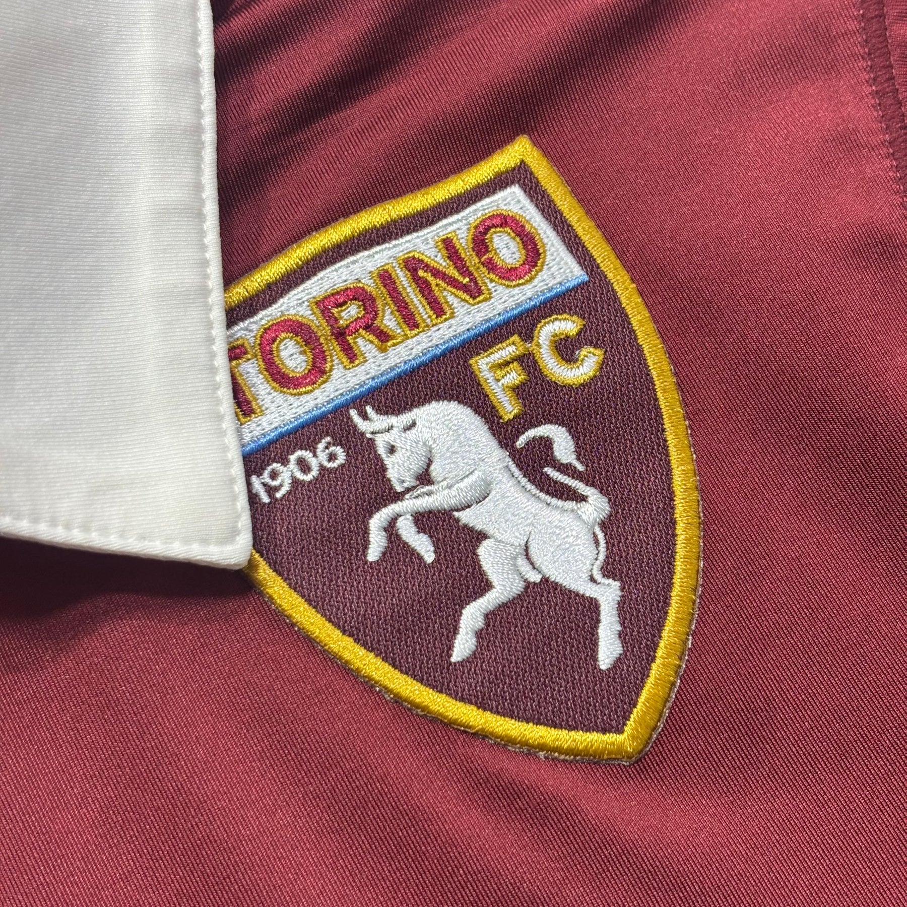 Torino 2013 P