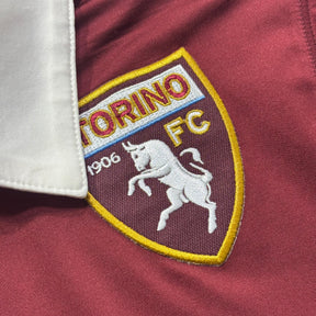 Torino 2013 P