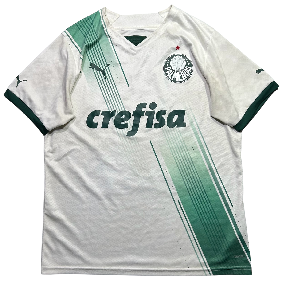 Palmeiras 2023 G