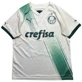 Palmeiras 2023 G