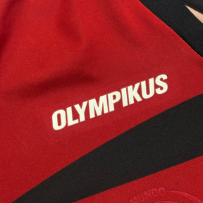 Flamengo 2011 GG