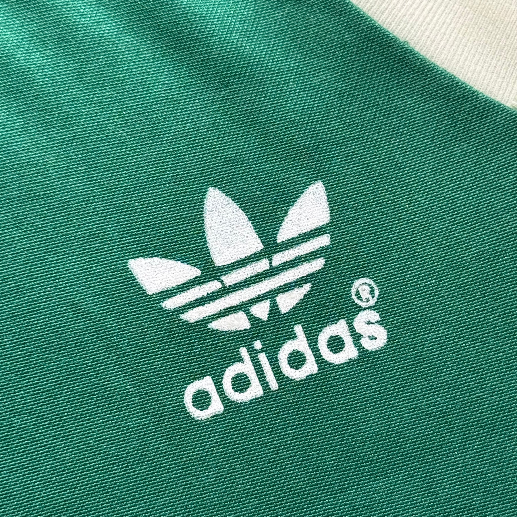 Palmeiras 1986 M