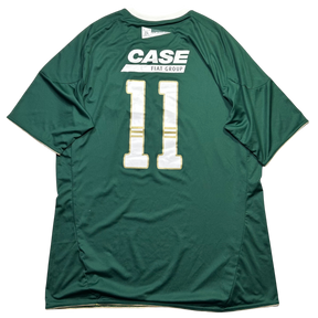 Palmeiras 2010 GG