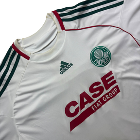 Palmeiras 2011 GG