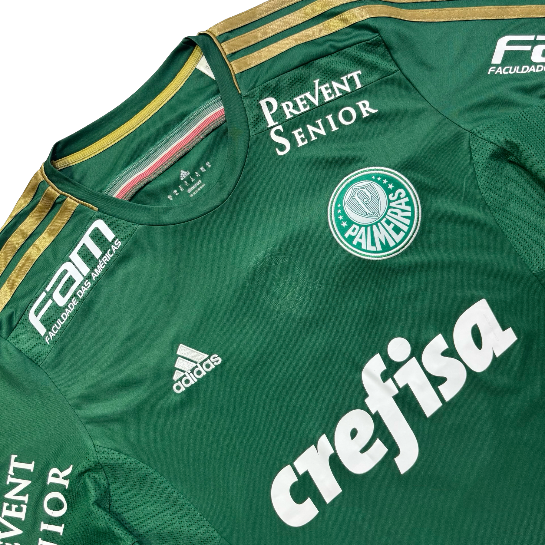 Palmeiras 2014 GG