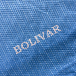 Bolívar 2006 G
