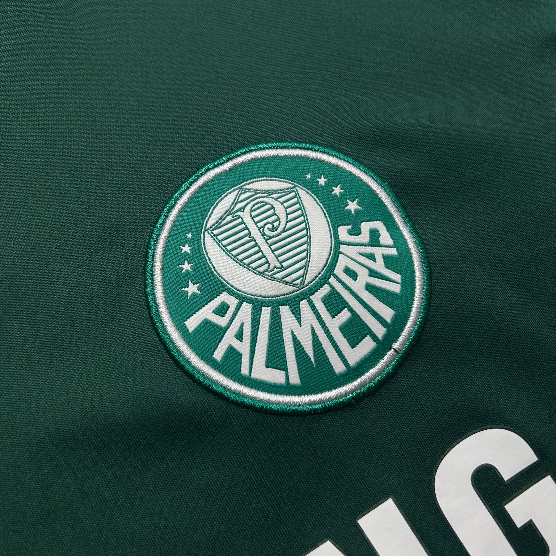 Palmeiras 2009 G