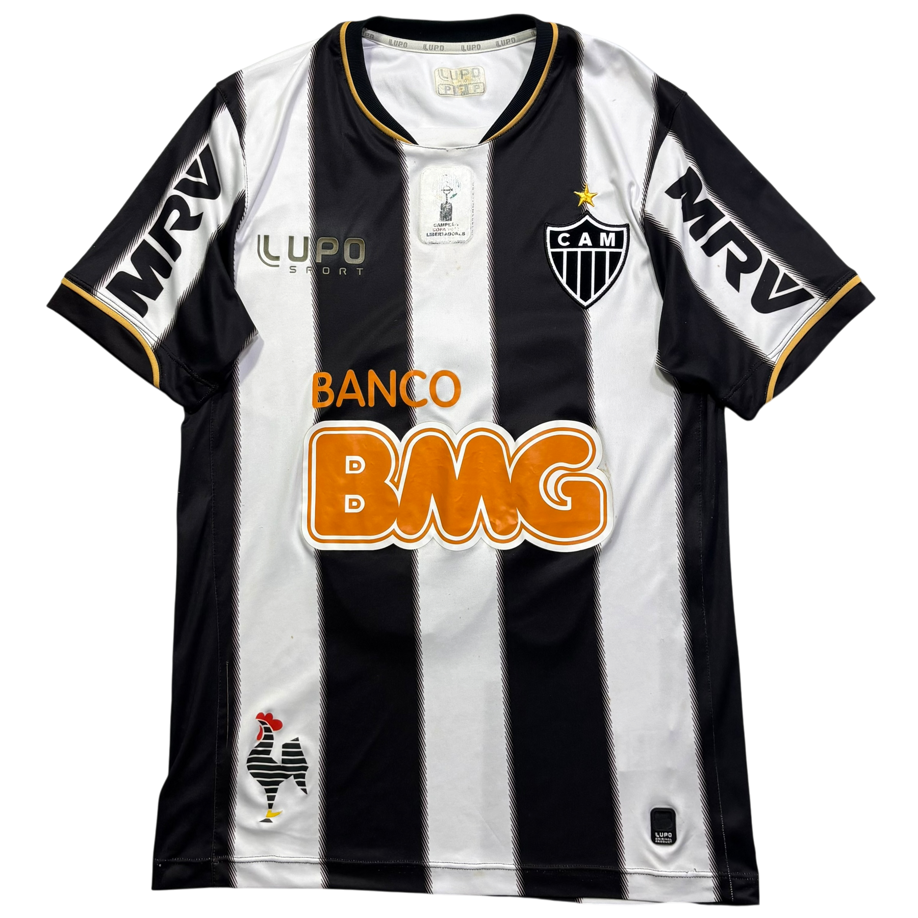 Atlético Mineiro 2013 P