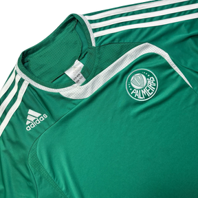 Palmeiras 2007 M
