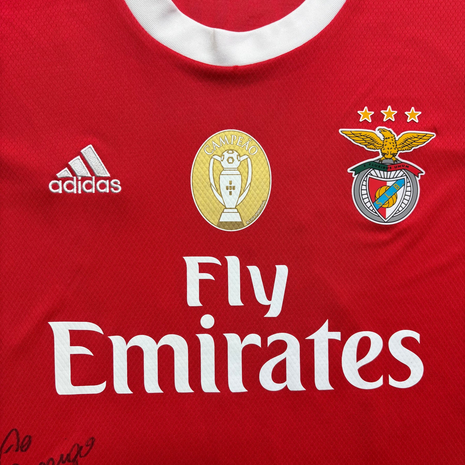 Benfica 2019 G
