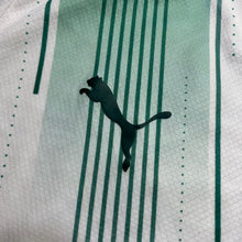 Carregar imagem no visualizador da galeria, Palmeiras 2023 G
