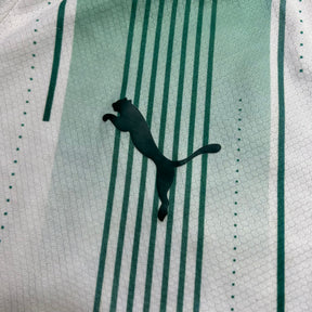 Palmeiras 2023 G