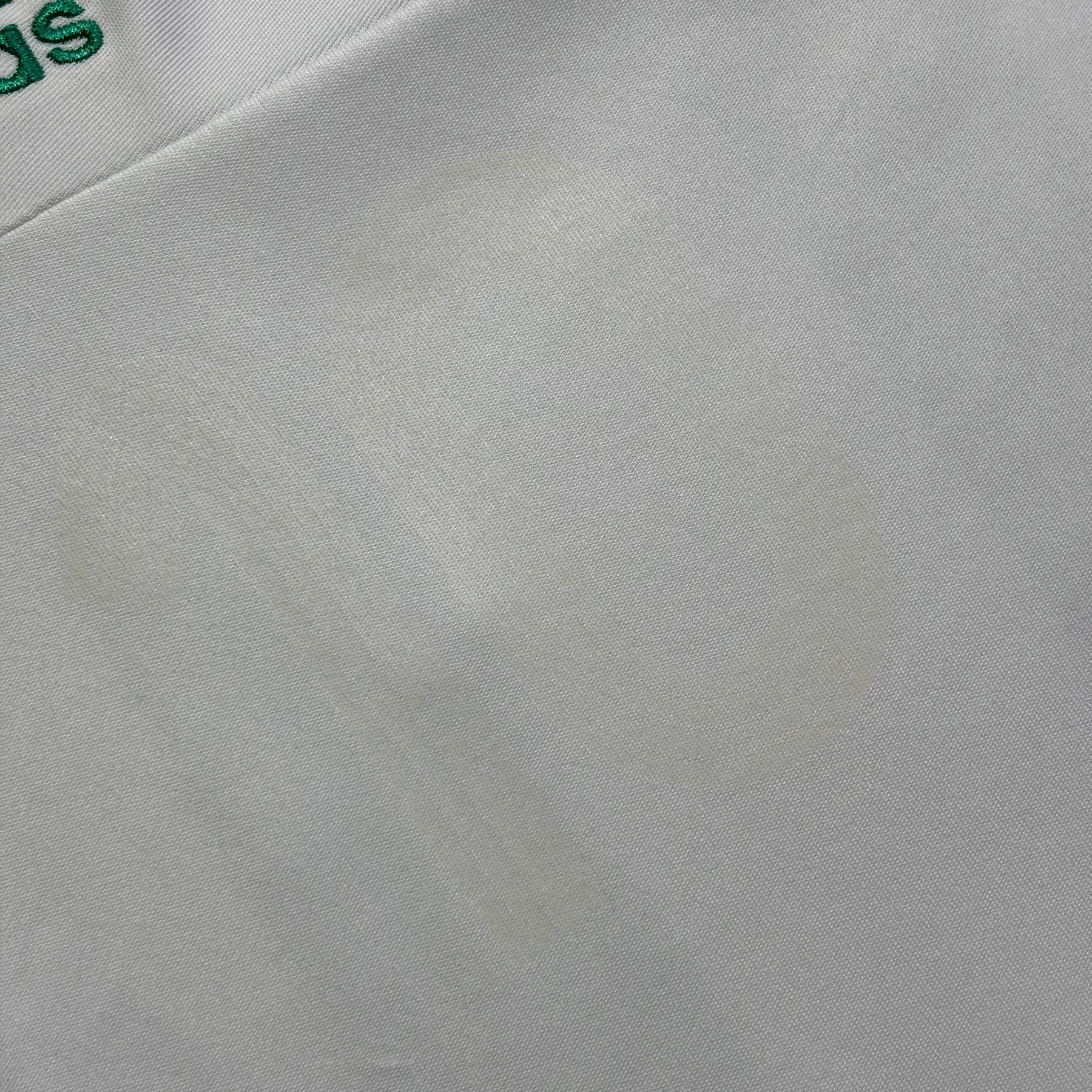 Palmeiras 2007 GG