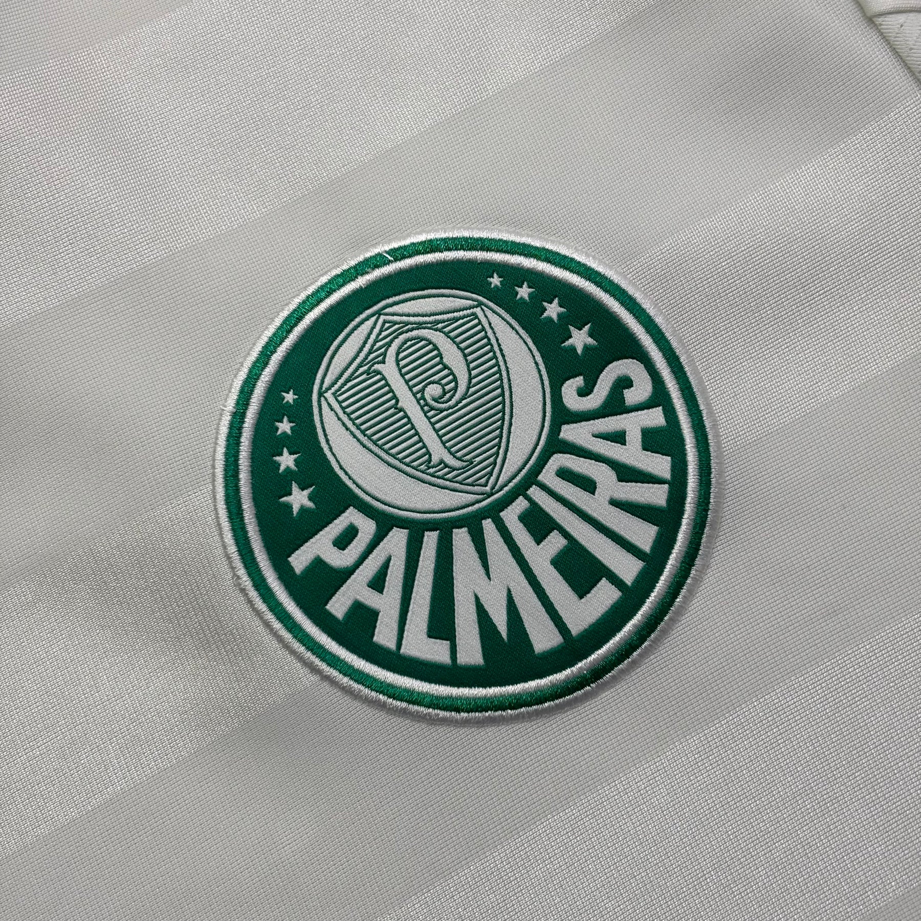 Palmeiras 2013 G
