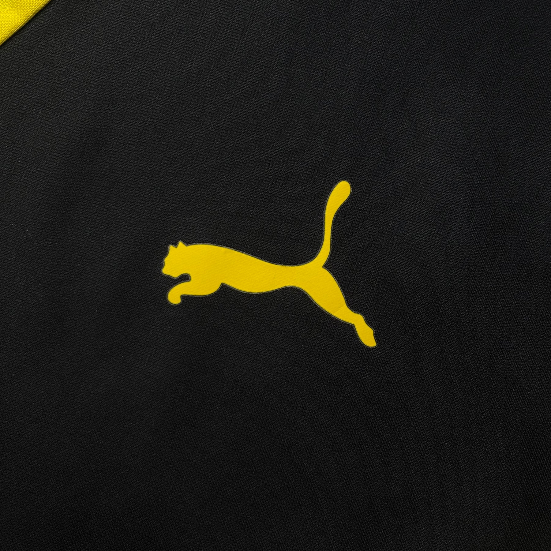 Borussia Dortmund 2013 M