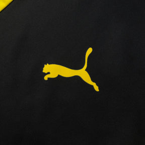 Borussia Dortmund 2013 M