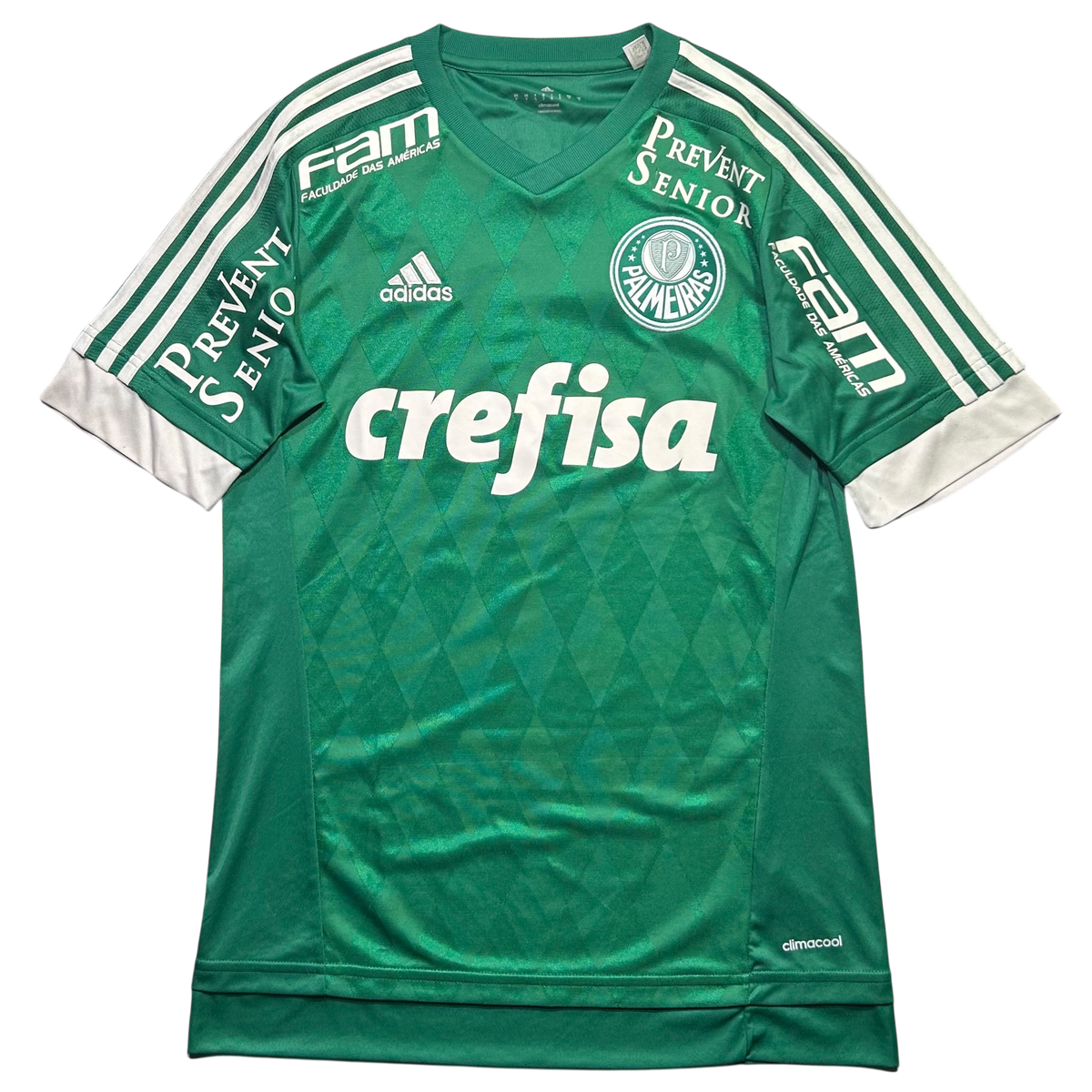 Palmeiras 2015 P