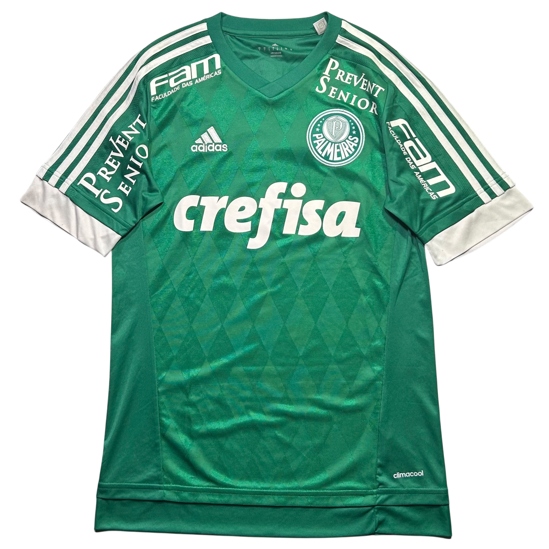 Palmeiras 2015 P