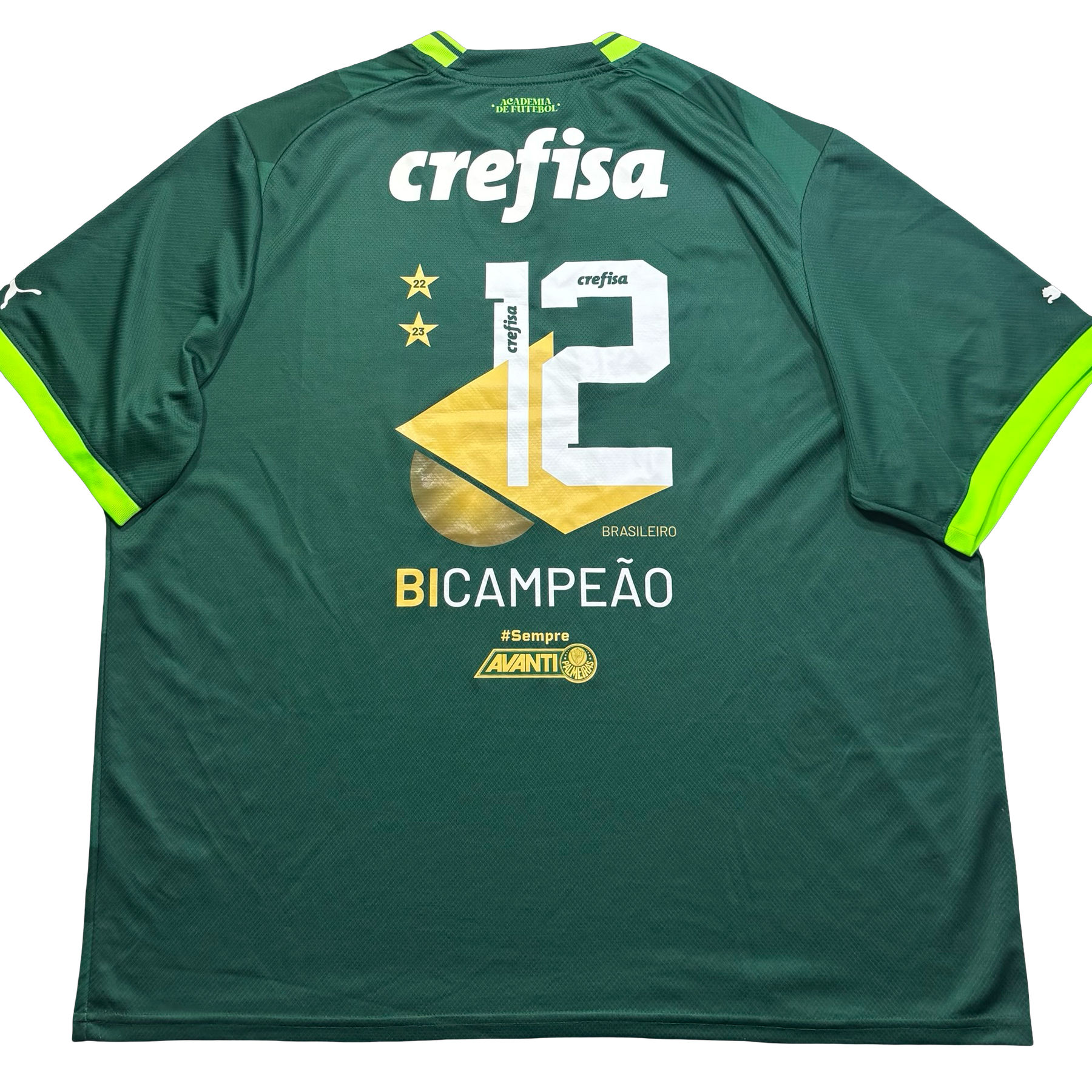 Palmeiras Puma