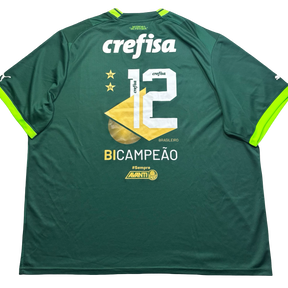 Palmeiras Puma
